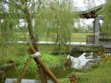 Thumbs/tn_PICT4415.jpg