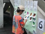 Thumbs/tn_93042012.jpg