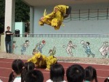Thumbs/tn_93042208.jpg