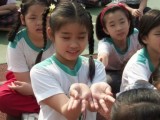 Thumbs/tn_93042225.jpg