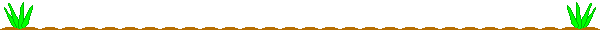 �y�z: 5-06